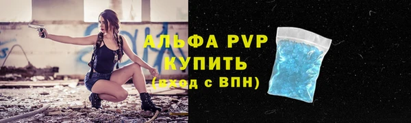 стаф Абаза