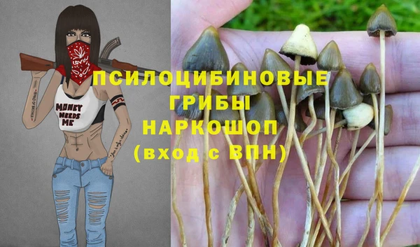 стаф Абаза