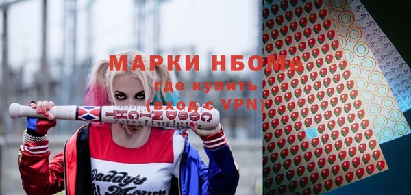 стаф Абаза