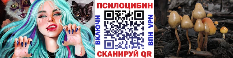 Галлюциногенные грибы MAGIC MUSHROOMS  Шарья 